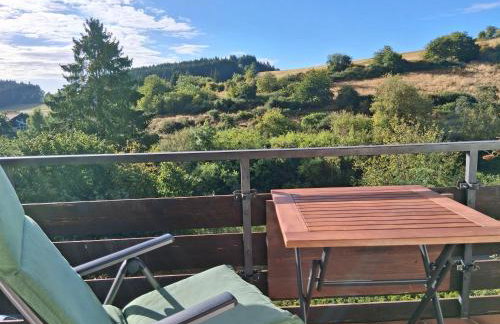Ferienhaus Eifelhöhe mit Maarpanorama - Foto 12