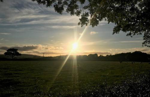 Cwtch Ffynnone Luxury Shepherds Hut - Foto 13