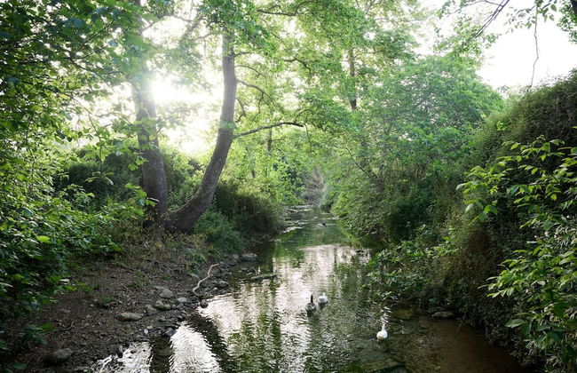 River Serenity Villa Vryses - Foto 28