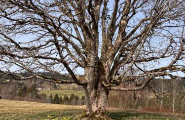 Le Jardin Secret - Foto 20