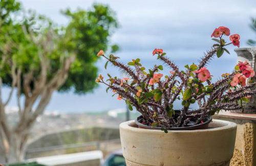 Casa Carmelita - Foto 18