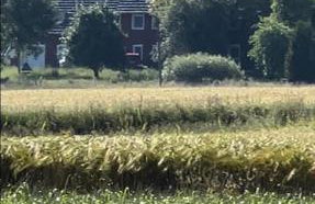 Sky Ranch 1 BR - Foto 24