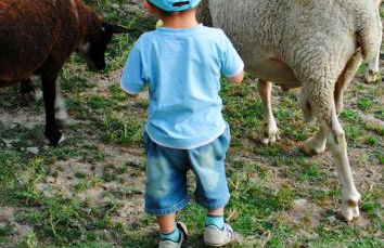 Domaine du Bas Chalus - Foto 6