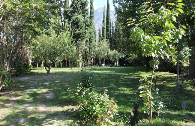 Springfield - Photo 12