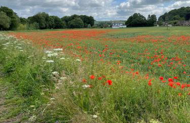 Unbox at Poplar Tree - Photo 47