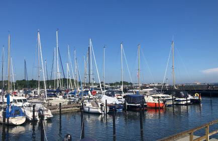 Bücherträume - Foto 22