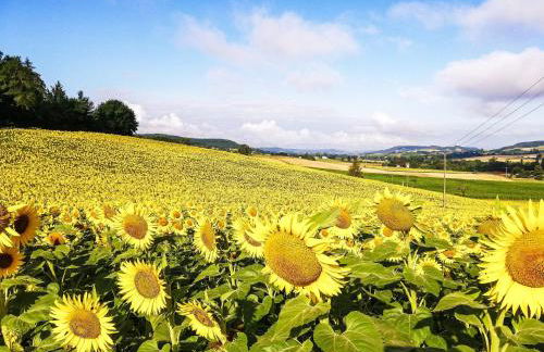 Cottage in Wine Country - Foto 27