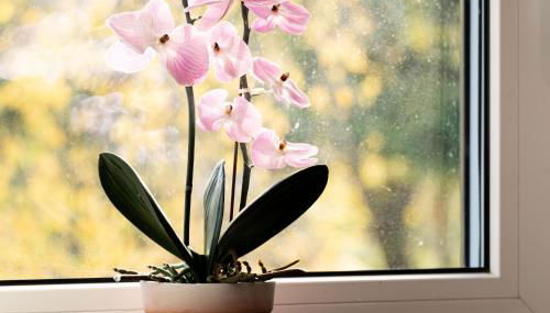 Ferienwohnung Kunterbunt Eckernförde - Foto 4