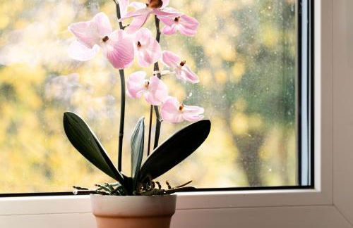 Ferienwohnung Kunterbunt Eckernförde - Foto 4