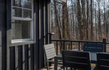 Chic Cabin with Hot Tub and Fire Pit - Foto 34