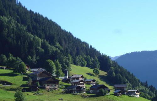 Les Myosotis - Foto 9