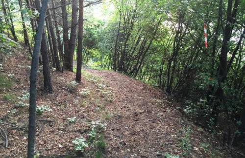 Anna Apartments - Foto 55