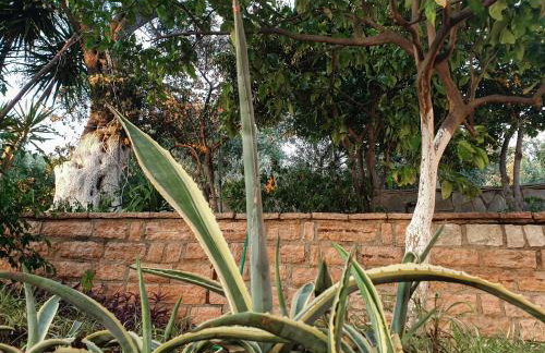 Angelos Studios - Photo 5