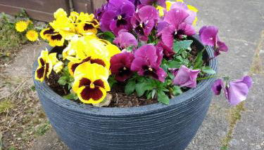 Ferienhaus Eggers - Foto 4