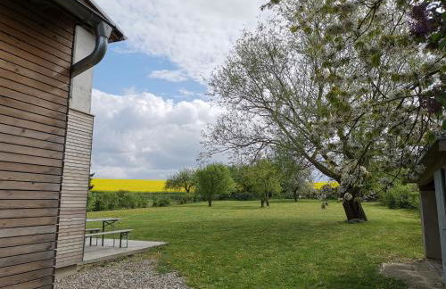 Kutscherhaus Thorstorf - Foto 8