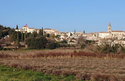 Maison en Drôme Provençale - Foto 28