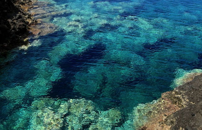 Agriturismo Hibiscus - Photo 31