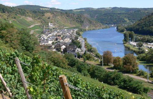 Fuchsdomizil - Foto 8