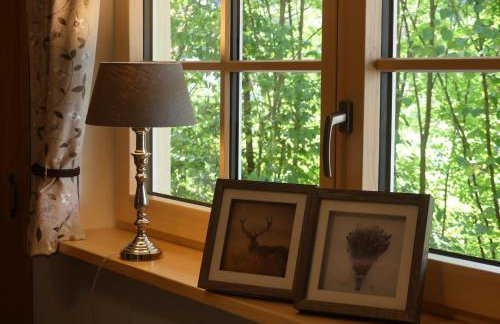 Ferienwohnungen Hasenknuck - Foto 11