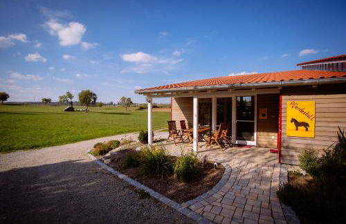 Ferienhof Neudeck - Foto 3