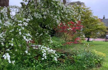 Le Pré Aux Loups - Foto 34