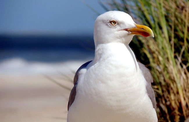 Charming Holiday Home With a Terrace - Photo 13