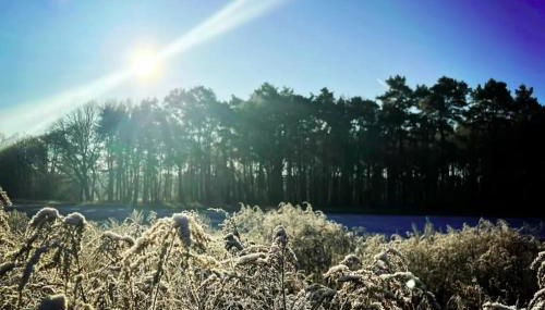 Romantikferienhaus am Schlösschen - Sauna, Kamin & Seenlandschaft nahe Berlin - Foto 3