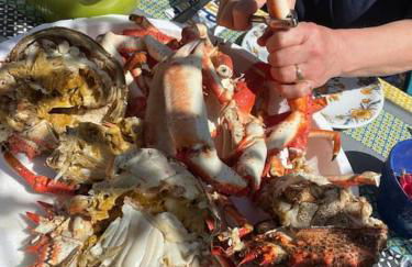 Vacances plages, mer, balades ou GR34 ! - Foto 21