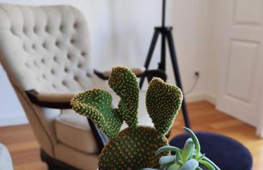 Alma Da Vila - Foto 30