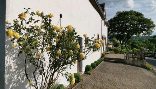 Ferienhaus Vulkaneifel Landhaus Loogh - Foto 4