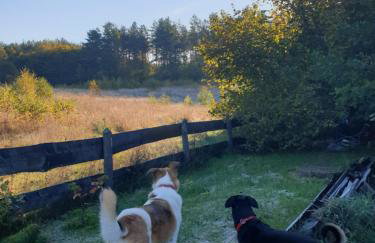 Siedlisko pod Aniołem - Foto 62