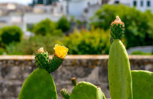 Residenza Storica PARCO LANOCE - Foto 13