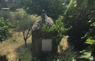 Lou Souleu - Foto 25