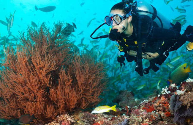 Buceo en Maafushi - Foto 6