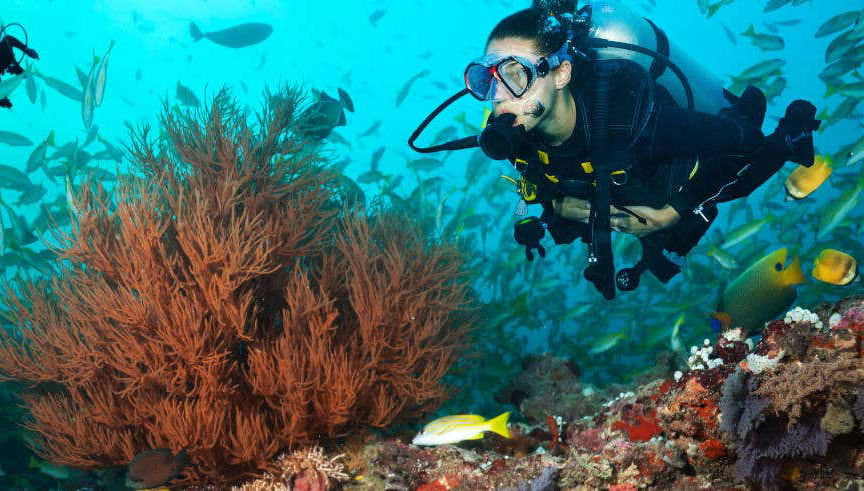 Buceo en Maafushi
