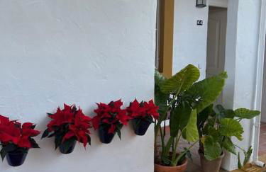 Apartamento a 8km Sevilla centro - Foto 22