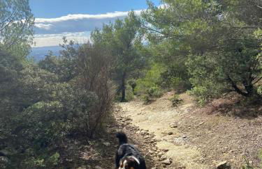 Vacances face au Luberon - Foto 39