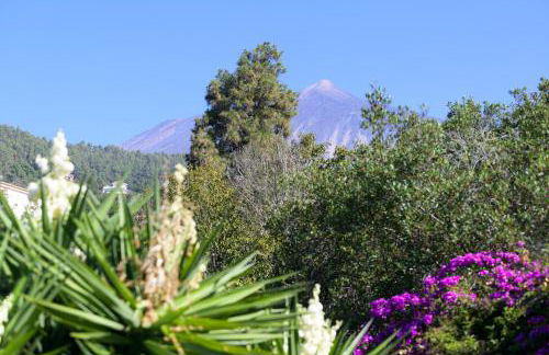 Teide Eco Harmony - Foto 32