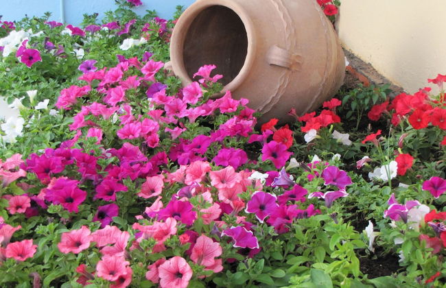 Futura Hotel - Foto 65