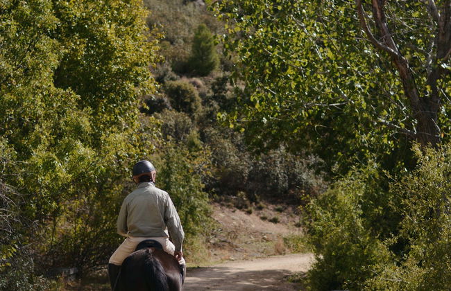 Guadarrama National Park Horse Riding Tour - Photo 1