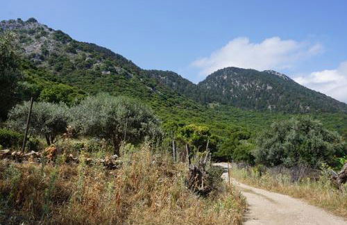 Lotza Traditional House Salakos - Foto 28