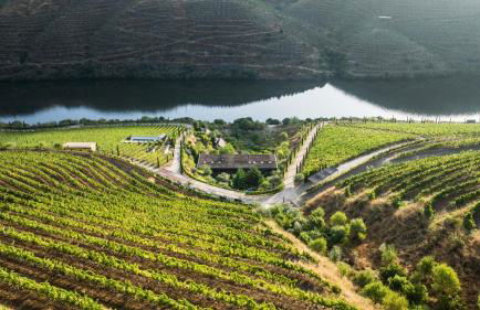 Casa do Rio - Douro Wine Hotel by Vallado - Foto 94