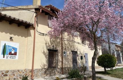 Los Cipreses de Mesones - Foto 38