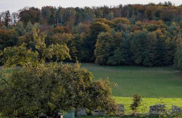 Auszeit im Bauwagen - Foto 16