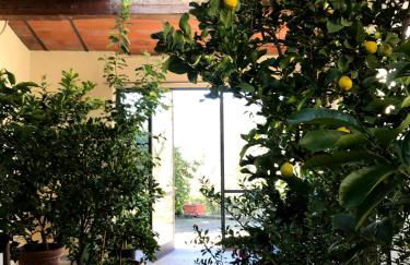 Il Pezzatino - Foto 70