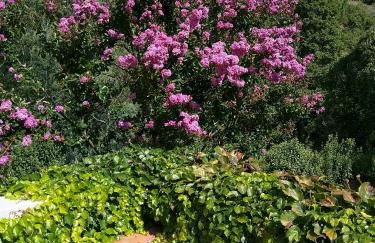 Puente Canto de Gredos - Photo 24