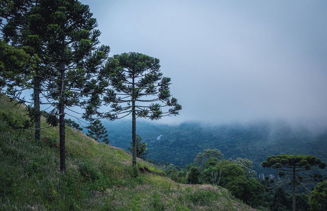 Le Refuge Urubici - Foto 20