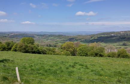 Clover Cottage - Foto 14