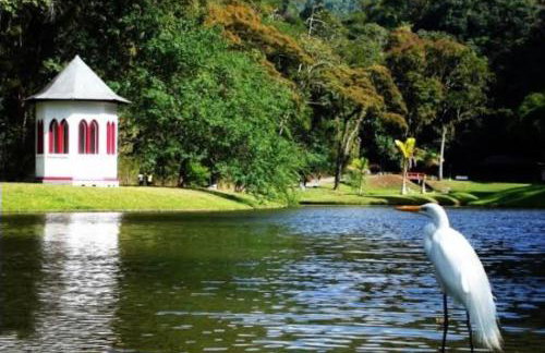 Pedra Do Imperador - Foto 19