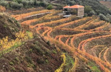 Quinta do Barrocal - Casa de Campo - Foto 3